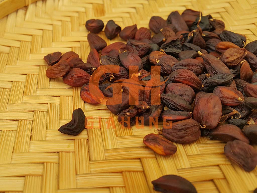Hạt dổi rừng